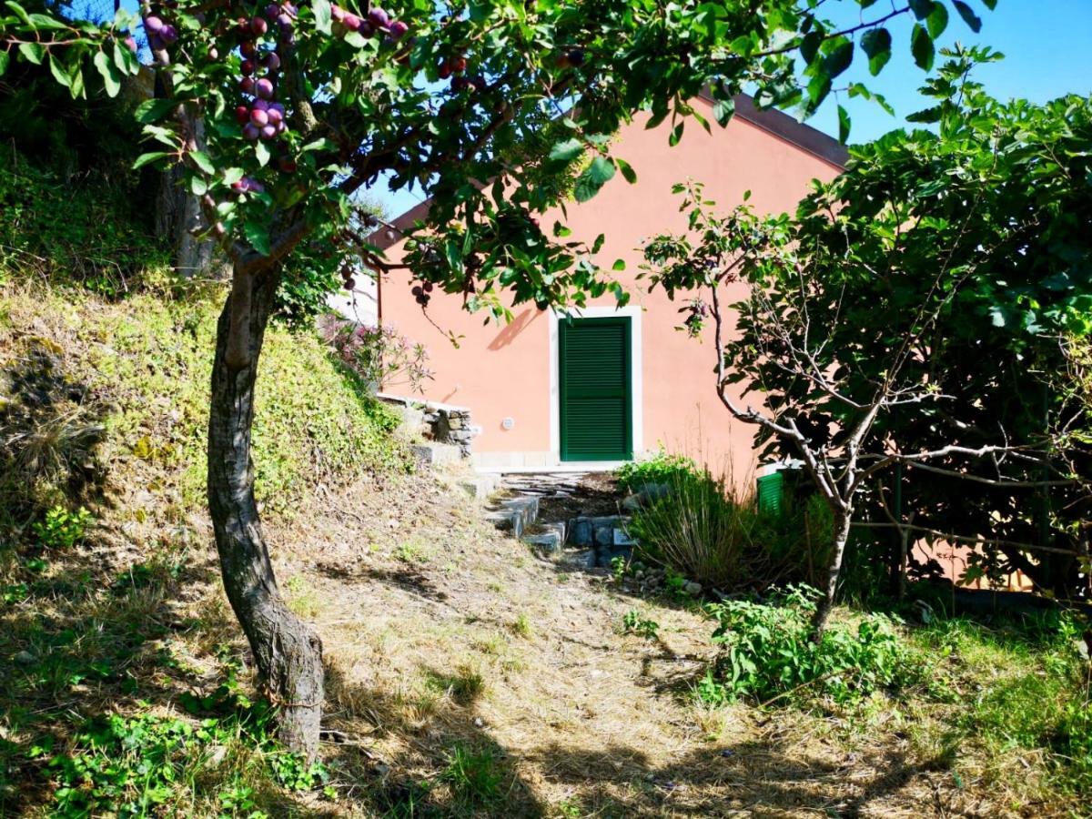 Agriturismo Lavalleggia Tovo San Giacomo Екстериор снимка